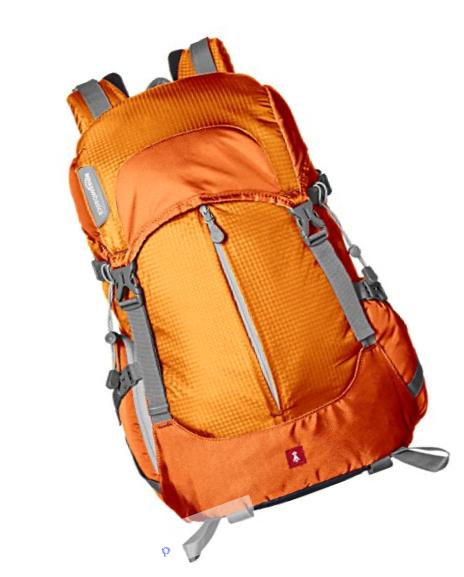 AmazonBasics Hiker Camera and Laptop Backpack - Orange